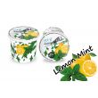Ice Frutz Lemon Mint