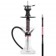 chicha PAN Kaysar City rose