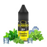 Concentré Menthe Fraîche ELiquid France 10ml