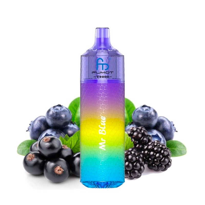 Puffs rechargeables Fumot T9000 - Mr Blue