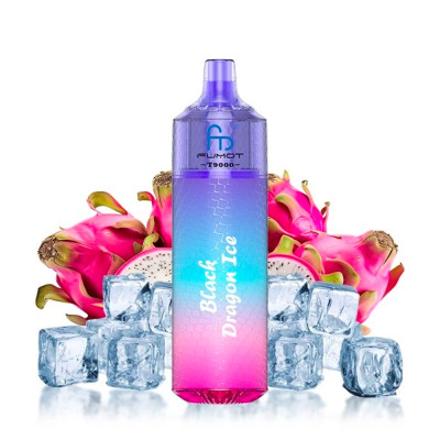 Puffs rechargeables Fumot T9000