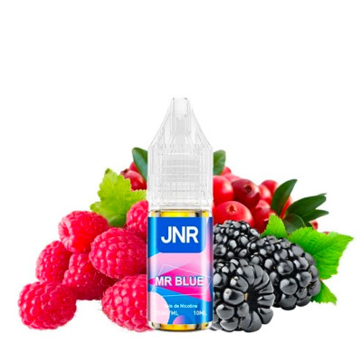 Mr Blue 10 mL E-Liquide JNR 