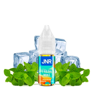 Fresh Mint 10 mL E-Liquide JNR 