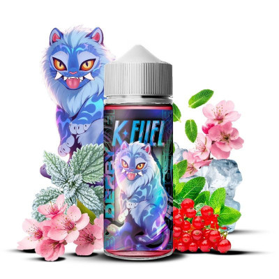 K-Fuel 100 mL Maison Fuel