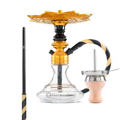 Chicha Ms Leao