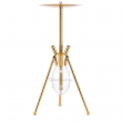 OVNI Gold Edition