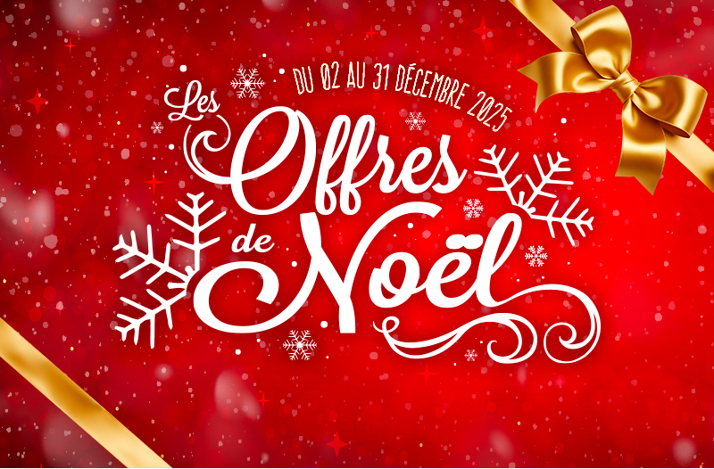 Blog-noel_FR.jpg