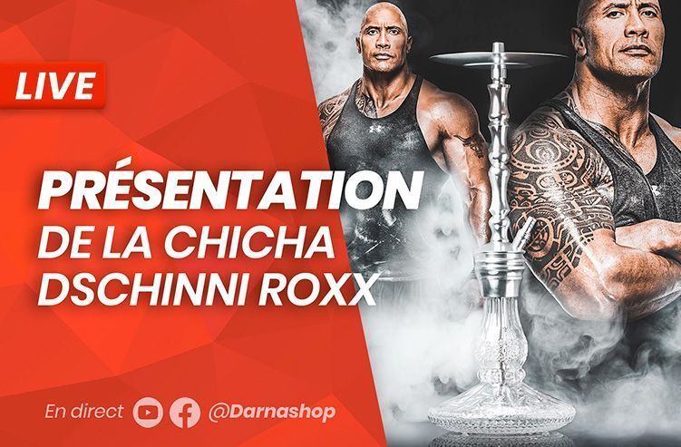 TEST et AVIS Chicha Dschinni Roxx et goûts chicha Dschinni Stones