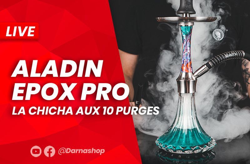 Hookah with 10 blow-off: our opinion on the Aladin EPOX 360 PRO hookah