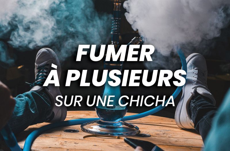 Fumer à plusieurs sur une chicha : zoom sur les chichas multi-tuyaux