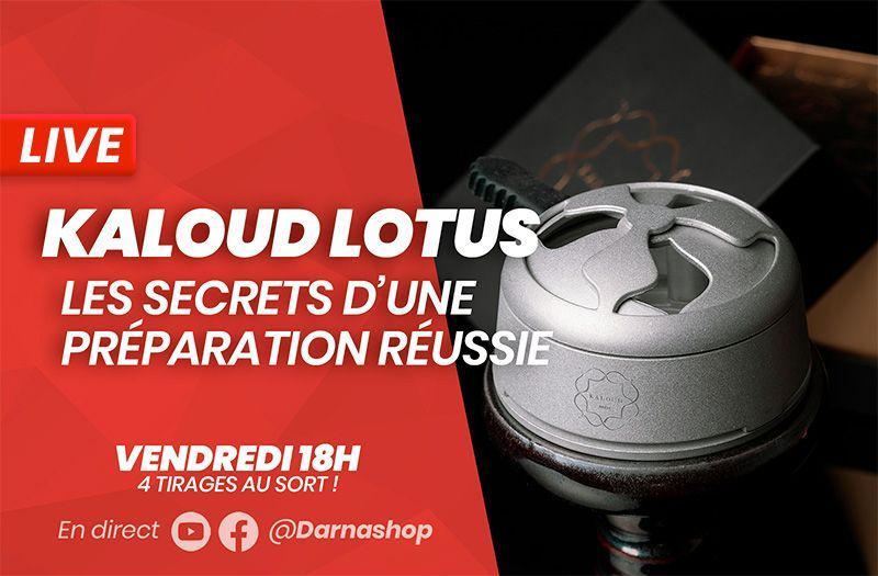 Kaloud Lotus heating system: how to prepare Kaloud properly