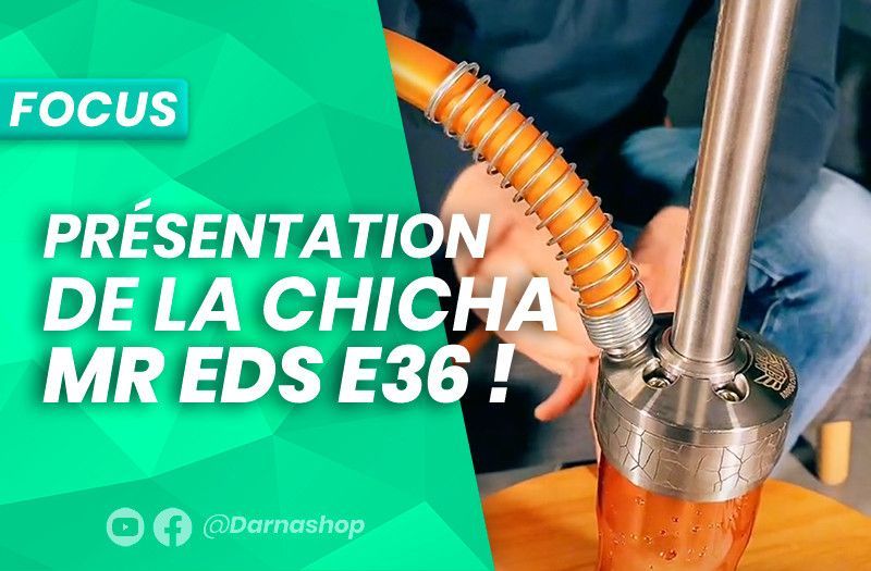 Présentation de la chicha Mr EDS Junior Champion E36